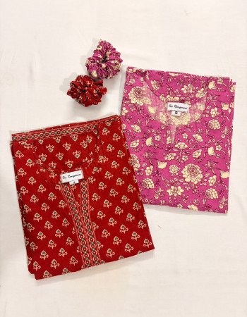 COMBO OF 2 LONG STRAIGHT KURTIS(S)
