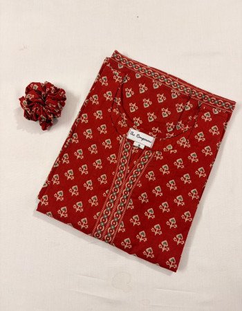 COMBO OF 2 LONG STRAIGHT KURTIS(S)
